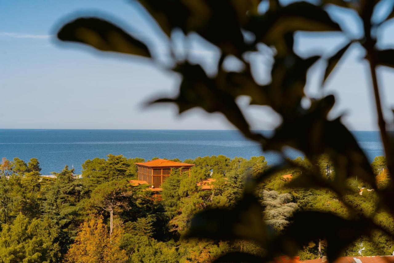 Tapis Rouge Design Boutique Hotel Batumi Ngoại thất bức ảnh View of the Black Sea from the house of the writer, in Varvarovski, Varvarovski, Varvarovski, Varvarovski, Varvarovski, Varvarovski, Varvarovski, Varvarovski, Varvarovski, Varvarovski, Varvarovski, Varvarovski, Varvarovski, Varvarovski, Varvarovski, 
